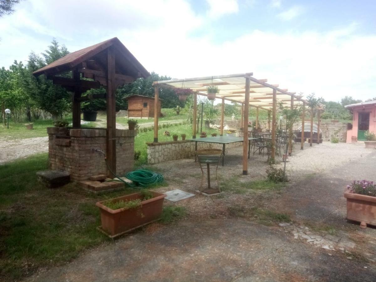 Agriturismo Colle Al Sole Apartment Кастильоне дел Лаго Екстериор снимка